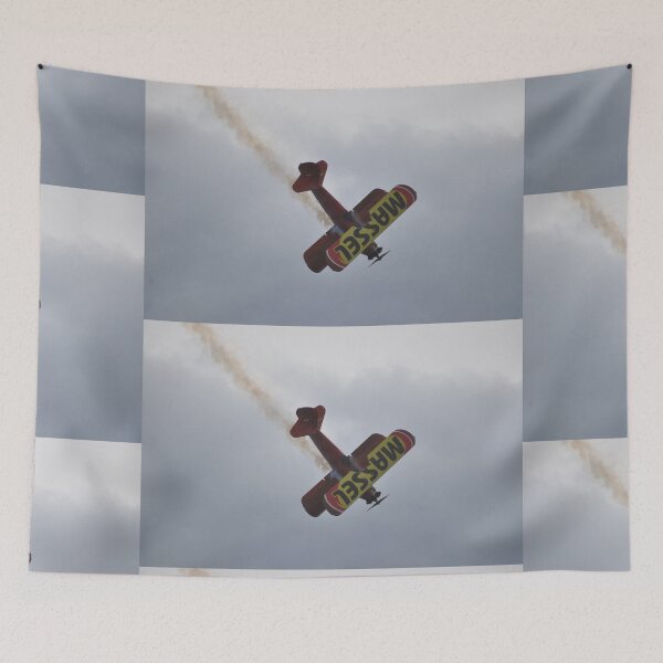 Item preview, 2017 Albion Park - Stearman VH-ILW Diving designed and sold by muz2142.