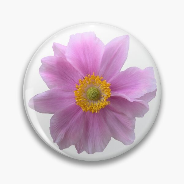 Item preview, Pink Anemone Flower Still Life Floral Photography designed and sold by CottoVerdi.