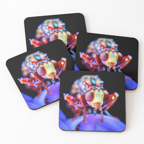 Item preview, shrimp photo with high resolution quality designed and sold by Allyouneed-2.