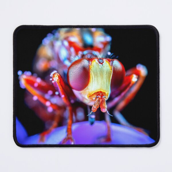 Item preview, shrimp photo with high resolution quality designed and sold by Allyouneed-2.