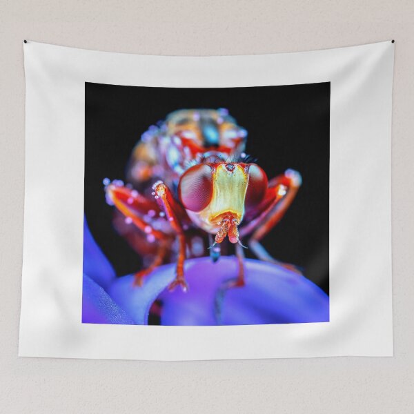 Item preview, shrimp photo with high resolution quality designed and sold by Allyouneed-2.