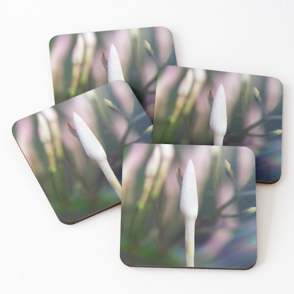 Item preview, Jasmine designed and sold by Siene Browne.