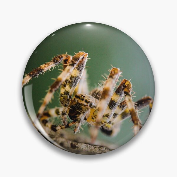 Item preview, garden spider  designed and sold by abphotography92.