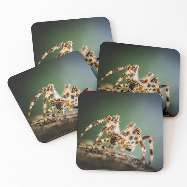 Item preview, garden spider  designed and sold by abphotography92.