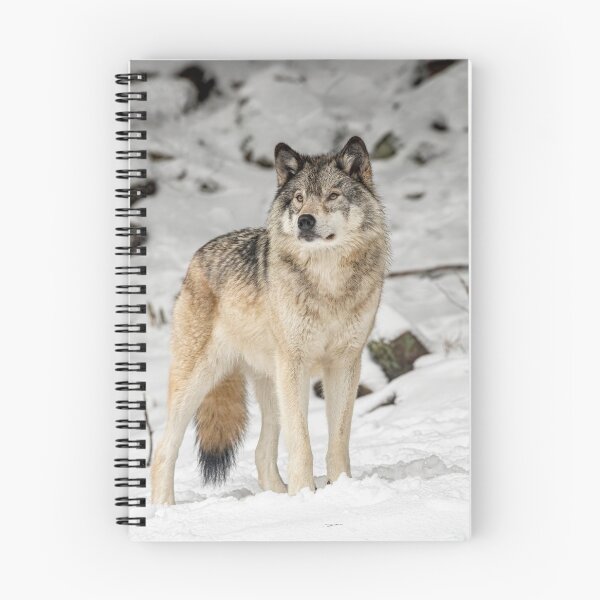 Item preview, Timber Wolf designed and sold by Michael Cummings.