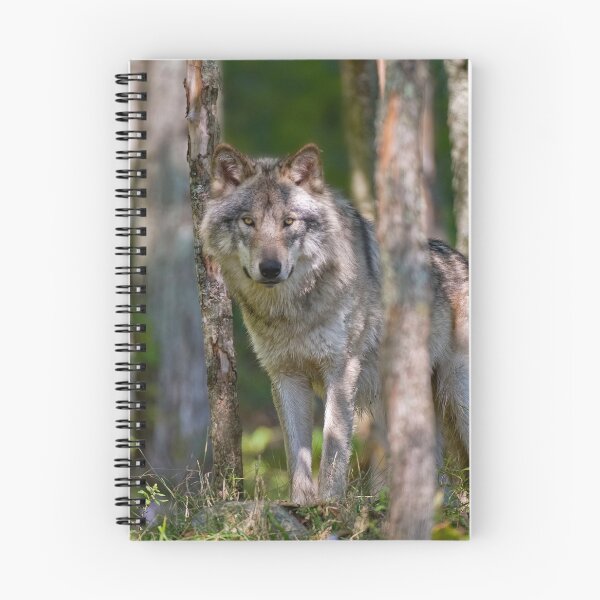 Item preview, Timber wolf in Forest designed and sold by Michael Cummings.
