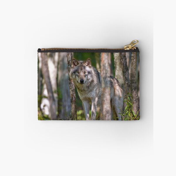 Item preview, Timber wolf in Forest designed and sold by Michael Cummings.