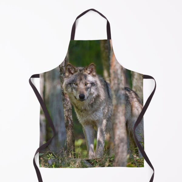 Item preview, Timber wolf in Forest designed and sold by Michael Cummings.