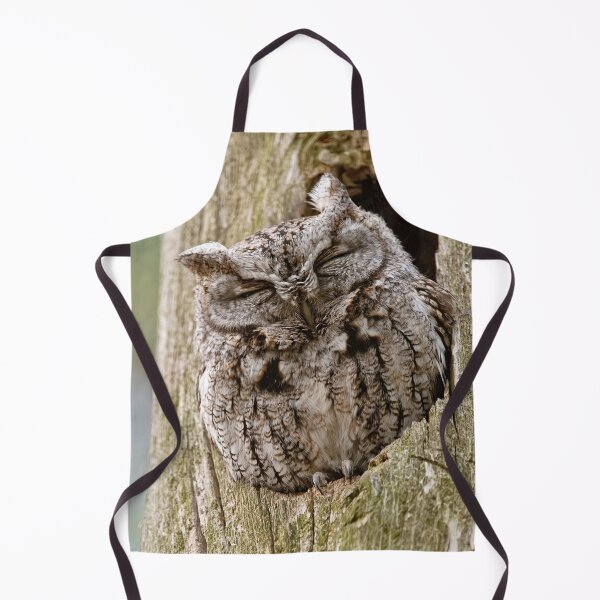 Item preview, Sleeping Screech Owl designed and sold by Michael Cummings.