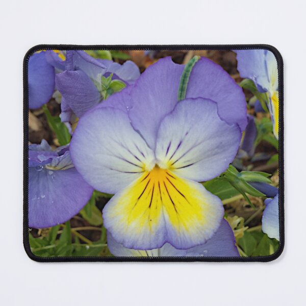 Item preview, Wild Pansies designed and sold by Moonshine Paradise.