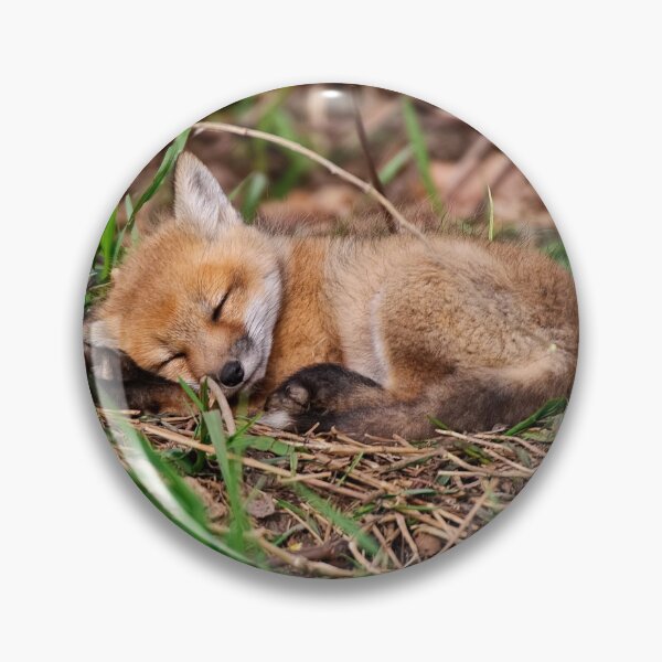 Item preview, Fox Kit 9 designed and sold by Michael Cummings.