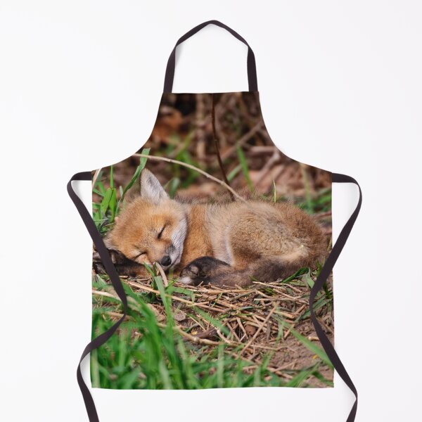 Aperçu de l'œuvre Fox Kit 9 créée et vendue par Michael Cummings.