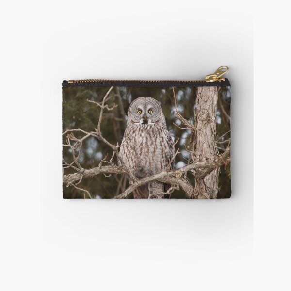 Item preview, Great Grey Owl - Ottawa, Ontario designed and sold by Josef Pittner.