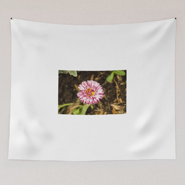 Item preview, 111516 Aster designed and sold by pcfyi.