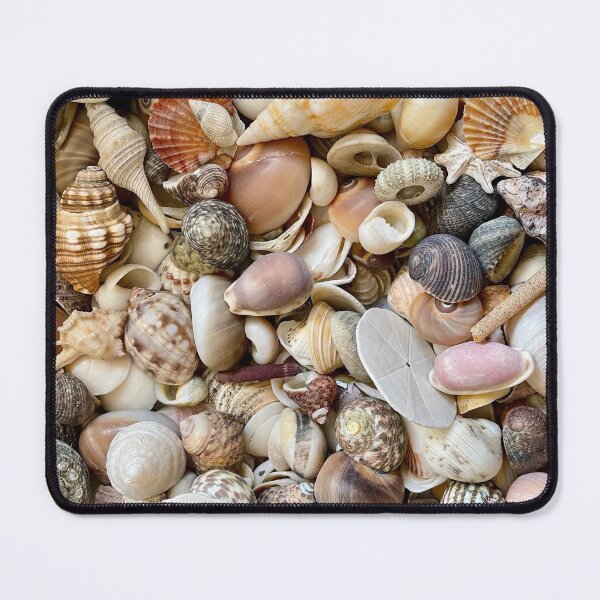 Item preview, Shell beach treasures  designed and sold by C-L-Cs.