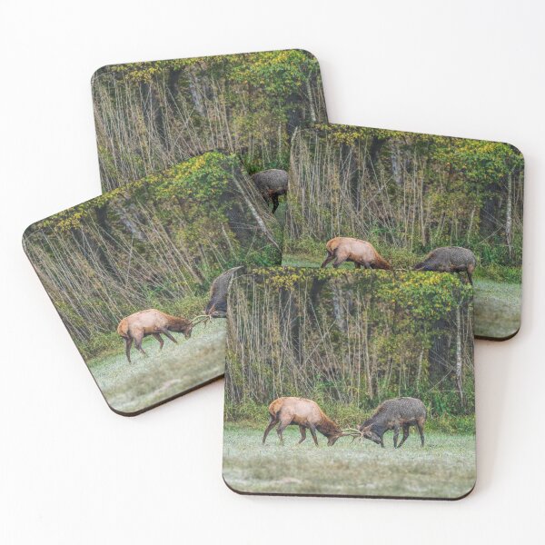 Item preview, Young Bull Elk Playing designed and sold by mljdwhite.