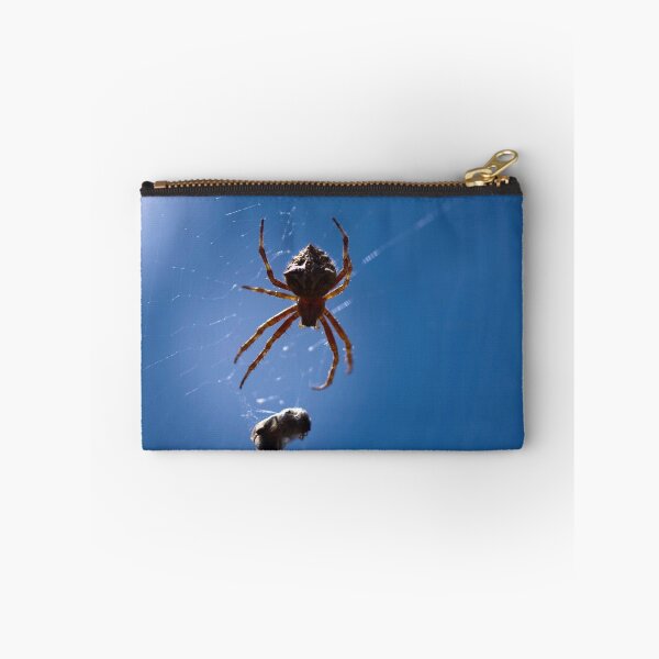 Item preview, Wrapped in Silk - The Spider and the Fly designed and sold by Clare Colins.