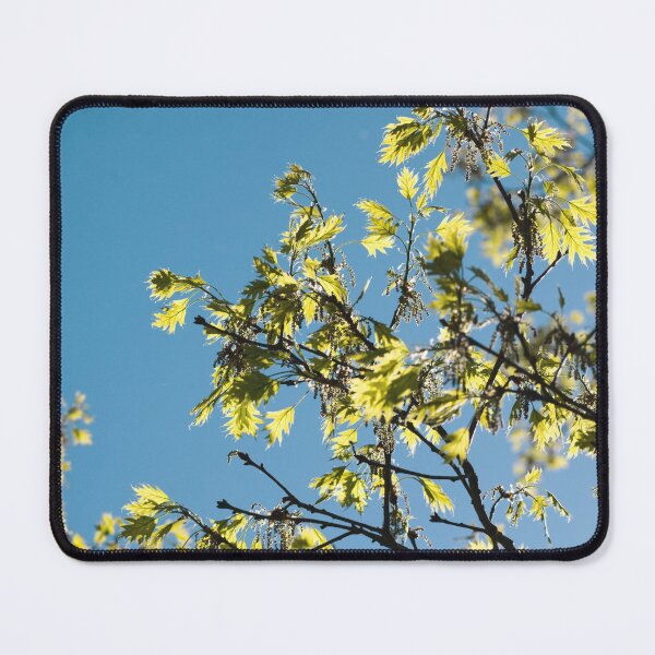 Item preview, Branches and blue sky designed and sold by carolmaia.