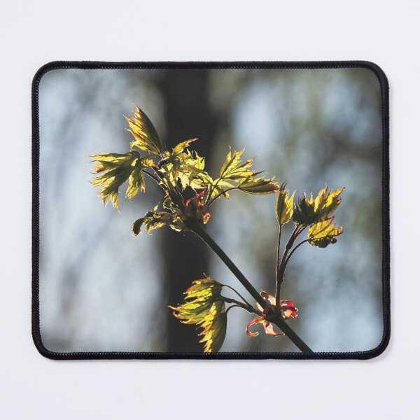 Item preview, Sunny spring designed and sold by carolmaia.
