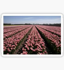 Field of Tulips Sticker