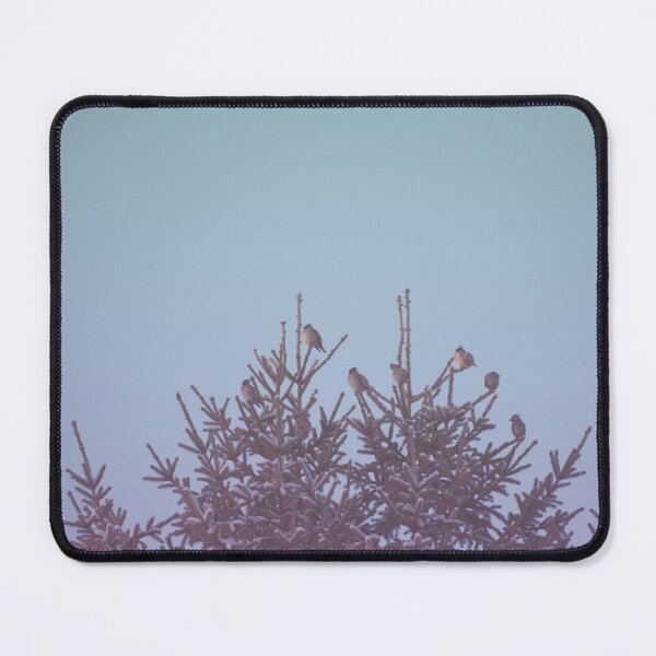 Item preview, Birds on snowy tree designed and sold by carolmaia.