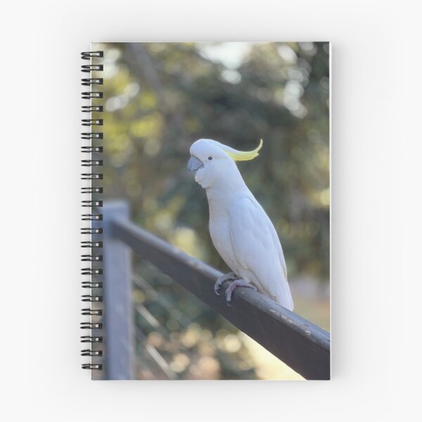 Item preview, Australian Sulphur-crested cockatoo designed and sold by C-L-Cs.