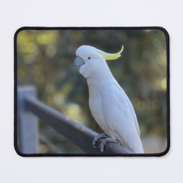 Item preview, Australian Sulphur-crested cockatoo designed and sold by C-L-Cs.