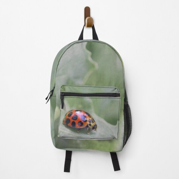 Item preview, Taking a Walk designed and sold by Siene Browne.
