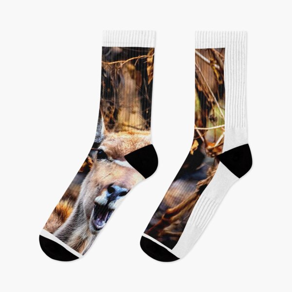 Item preview, deer photo with high resolution quality designed and sold by Allyouneed-2.