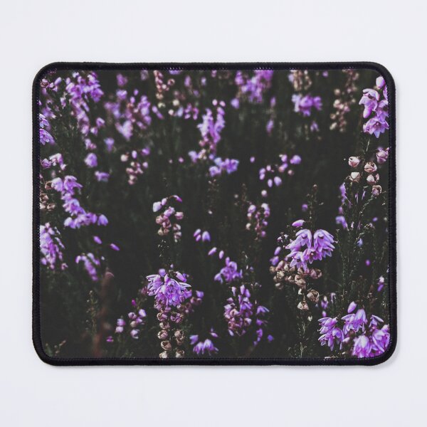 Item preview, Purple Heather Flowers - Calluna Photography designed and sold by PaulinaChmiel.