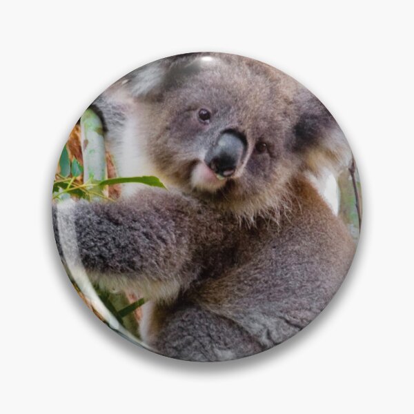 Item preview, Koala Curiosity designed and sold by H-AB.