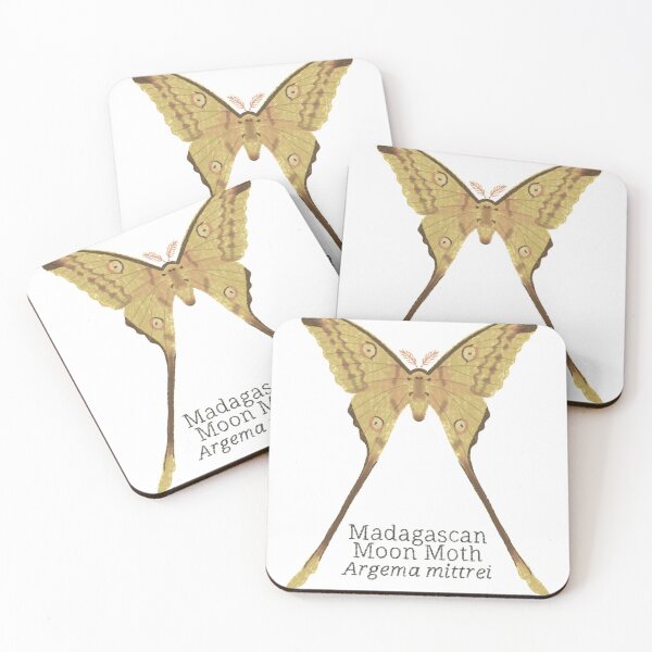 Item preview, madagascan moon moth designed and sold by WyrdandWoven.