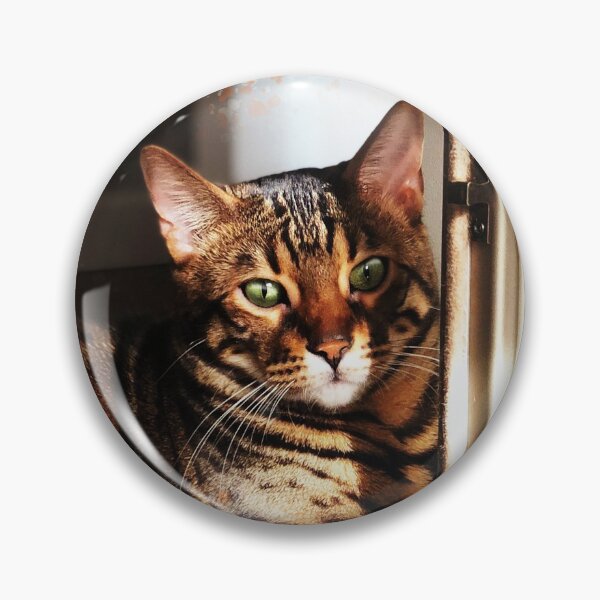 Item preview, Bengal cat with green eyes designed and sold by laskaart.