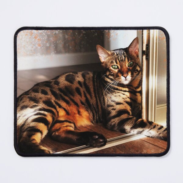 Item preview, Bengal cat with green eyes designed and sold by laskaart.