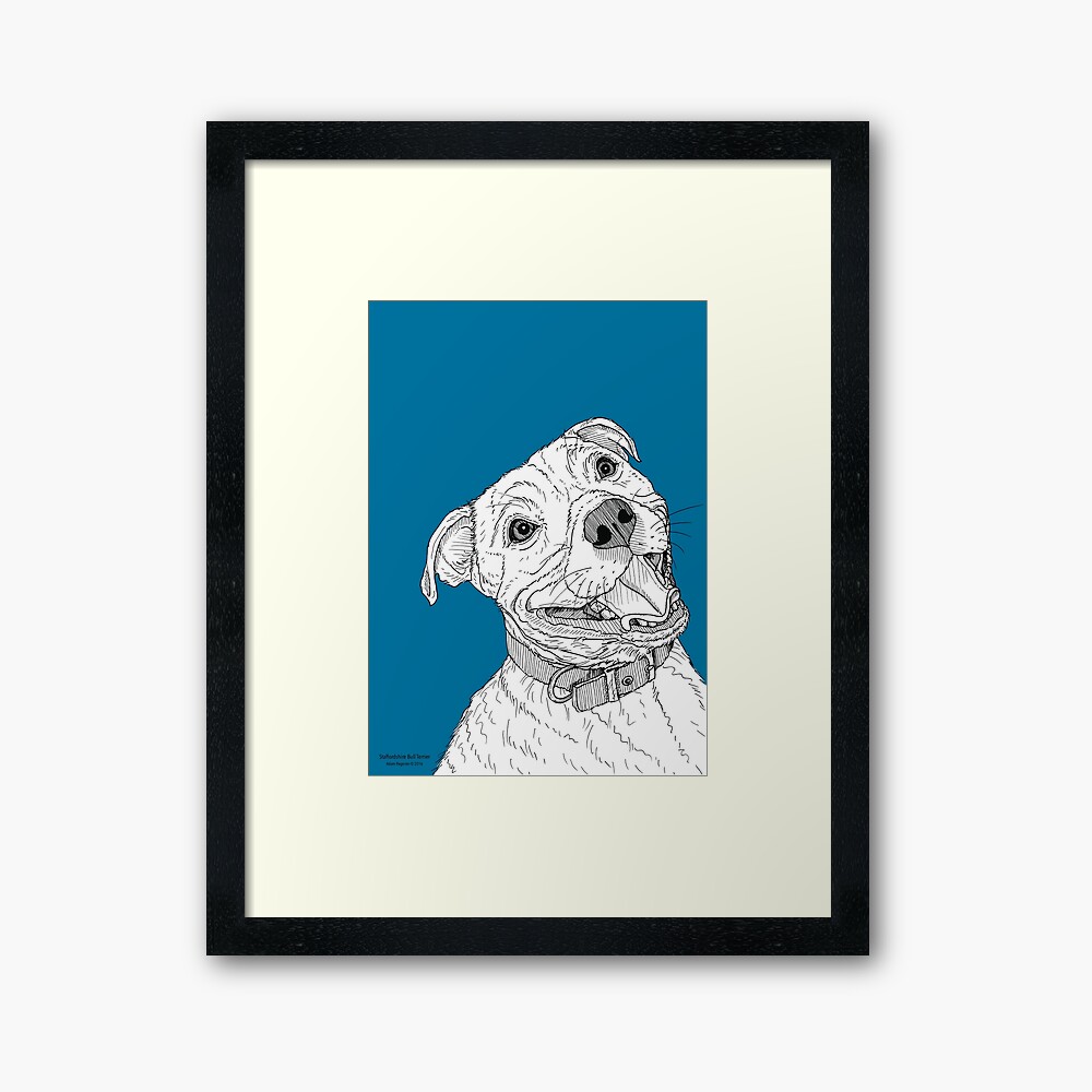 "Staffordshire Bull Terrier Portrait" Framed Art Print by AdamRegester