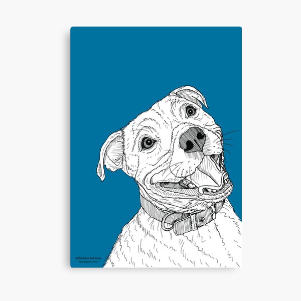 Staffordshire Bull Terrier Portrait Canvas Print