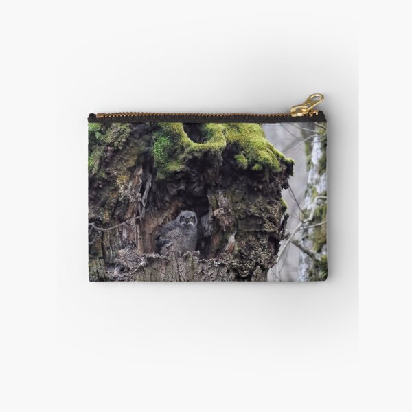 Item preview, Baby Horned Owl designed and sold by Heather Haderly.