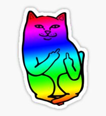Rainbow Cat Sticker