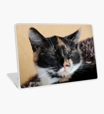 Peppy Laptop Skin