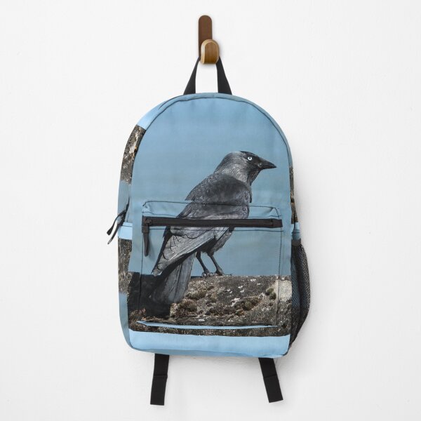 Item preview, Jackdaw  designed and sold by pinkal.