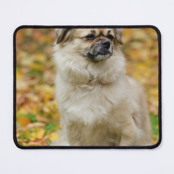 Item preview, Autumn Tibbie designed and sold by Mikko  Suhonen.