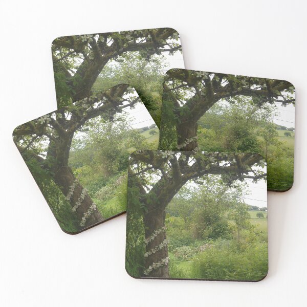 Item preview, Apple Blossom Spiral on tree trunk designed and sold by Amber-Woodhouse.