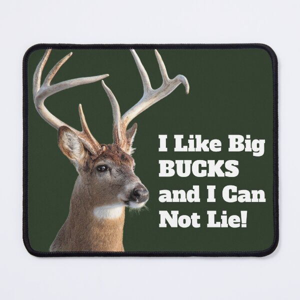 Item preview, I Like Big BUCKS and I Can Not Lie designed and sold by Jessica Kirste.