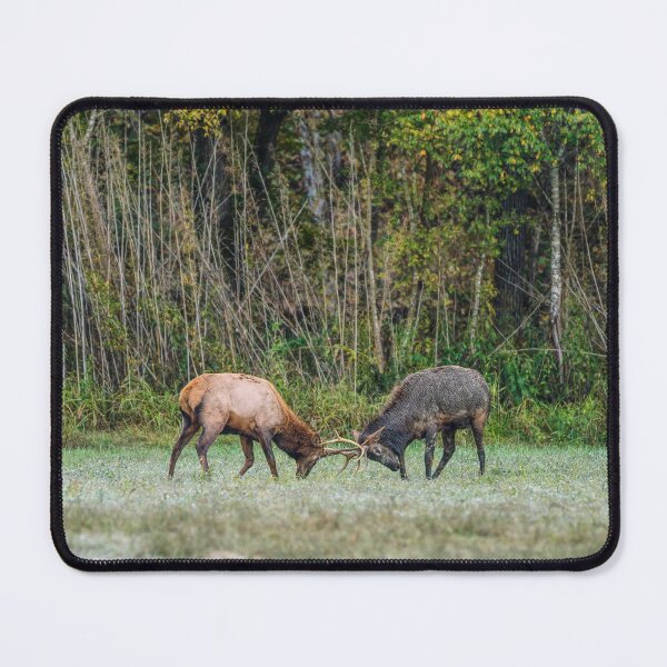Item preview, Young Bull Elk Playing designed and sold by mljdwhite.