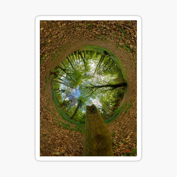 Butterfly Sculpture in Prehen Woods, Derry (Sky-in) Sticker