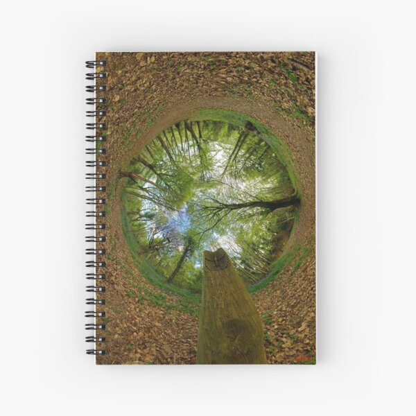 Butterfly Sculpture in Prehen Woods, Derry (Sky-in) Spiral Notebook