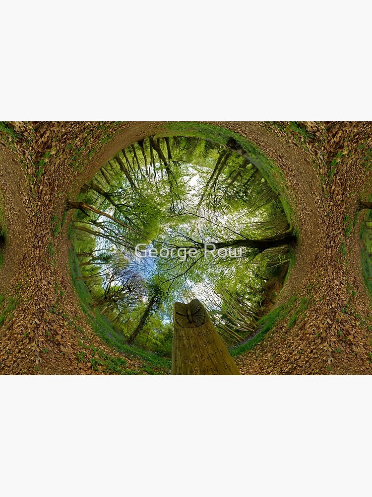 Butterfly Sculpture in Prehen Woods, Derry (Sky-in) by VeryIreland