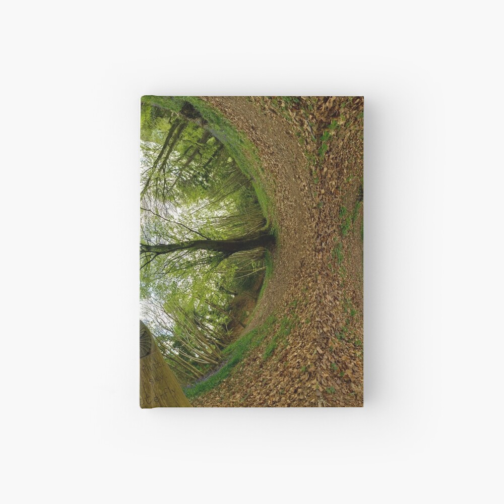 Butterfly Sculpture in Prehen Woods, Derry (Sky-in) Hardcover Journal