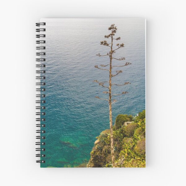 Item preview, The Cinque Terre sea seen from a cliff in Corniglia with a tall Agave flower on the right side. designed and sold by H-AB.