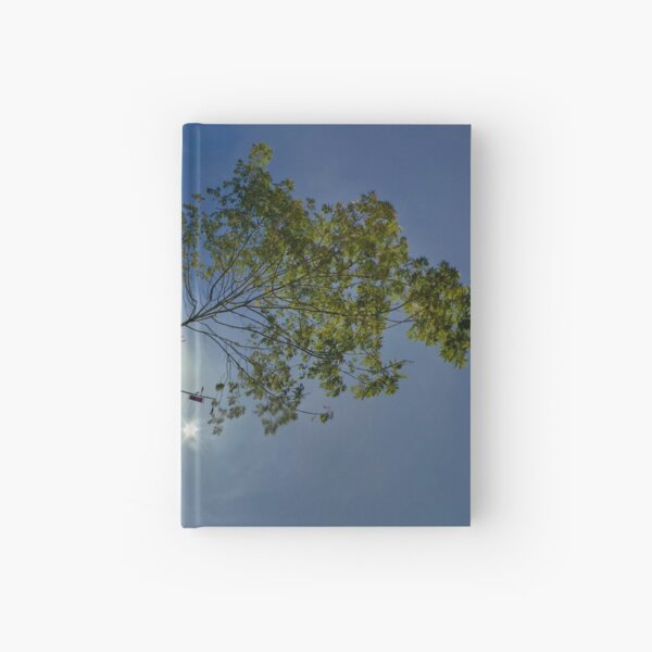 Cow Parade Panorama - Shirt Factory Horn, Derry Hardcover Journal